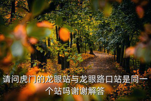 請問虎門的龍眼站與龍眼路口站是同一個站嗎謝謝解答