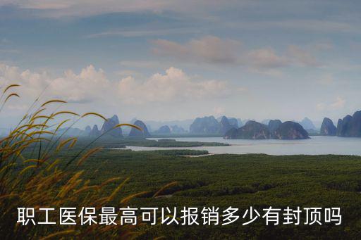 職工醫(yī)保最高可以報(bào)銷多少有封頂嗎
