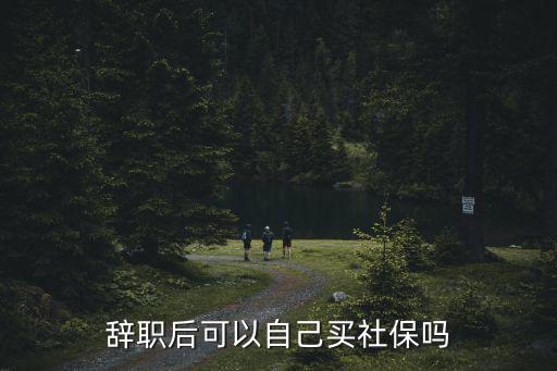 辭職后可以自己買社保嗎