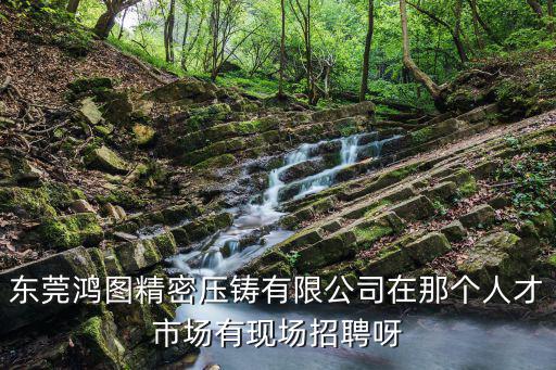 東莞鴻圖精密壓鑄有限公司在那個人才市場有現場招聘呀
