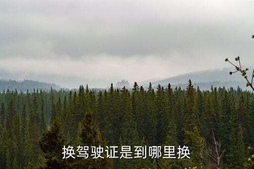 換駕駛證是到哪里換