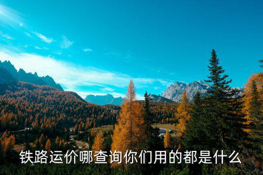鐵路運價哪查詢你們用的都是什么