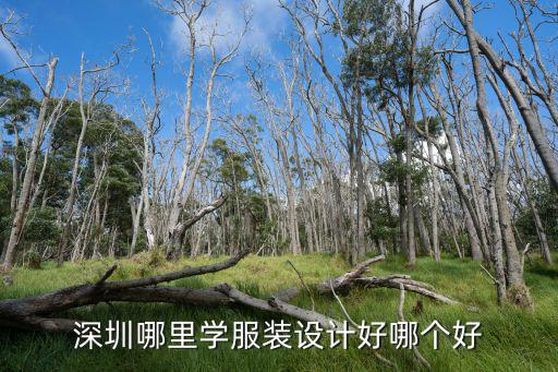 深圳哪里學服裝設計好哪個好