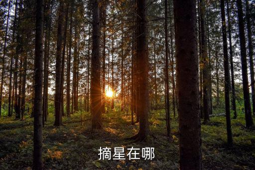 摘星在哪