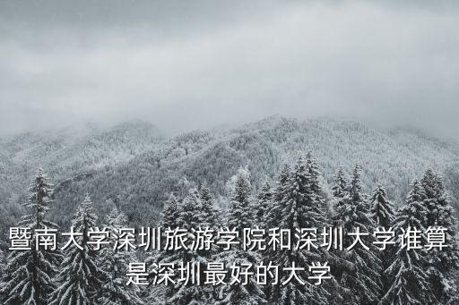 暨南大學深圳旅游學院，暨南大學深圳旅游學院和深圳大學誰算是深圳最好的大學