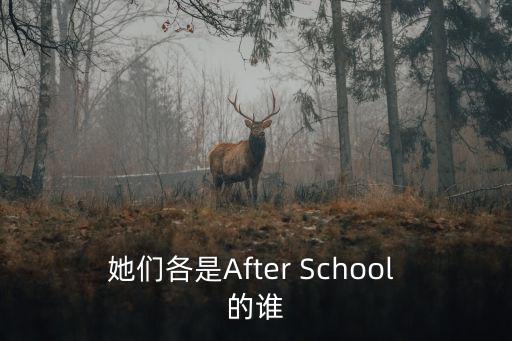 她們各是After School 的誰