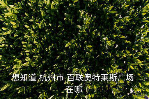 想知道 杭州市 百聯奧特萊斯廣場 在哪