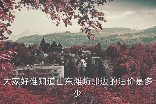 大家好誰知道山東濰坊那邊的油價是多少