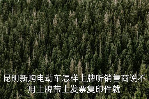 電動車掛牌，昆明新購電動車怎樣上牌聽銷售商說不用上牌帶上發票復印件就