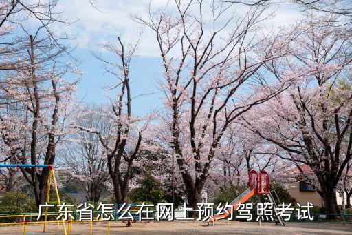廣東考試服務網，廣東高考服務網是干什么的