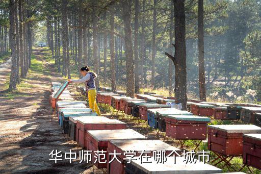 華中師范大學(xué)在哪里，華中師范大學(xué)在哪個城市