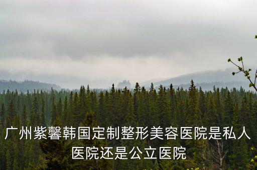 廣州紫馨，廣州紫馨韓國定制整形美容醫(yī)院是私人醫(yī)院還是公立醫(yī)院