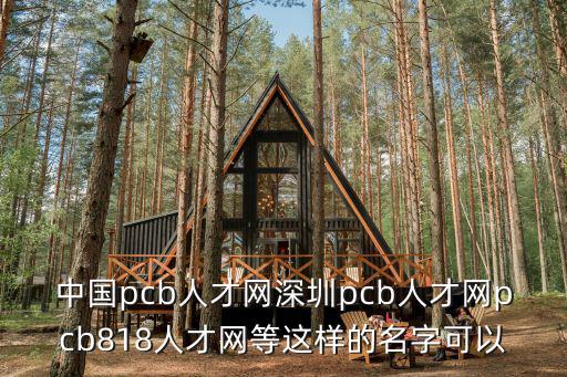 中國(guó)pcb人才網(wǎng)深圳pcb人才網(wǎng)pcb818人才網(wǎng)等這樣的名字可以
