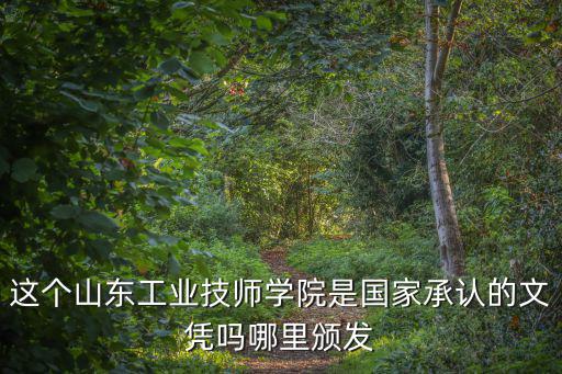 這個山東工業技師學院是國家承認的文憑嗎哪里頒發