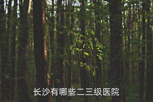 長沙有哪些二三級醫(yī)院