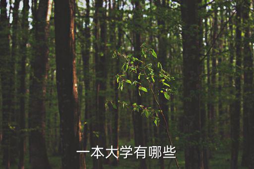 一本大學(xué)有哪些