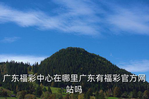 廣東福利彩票雙色球，廣東福利彩票到底是誰(shuí)的
