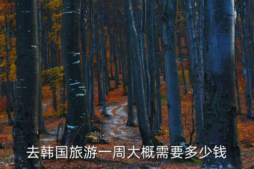 韓國旅游價格，去韓國旅游一次大概需要多少人民幣啊