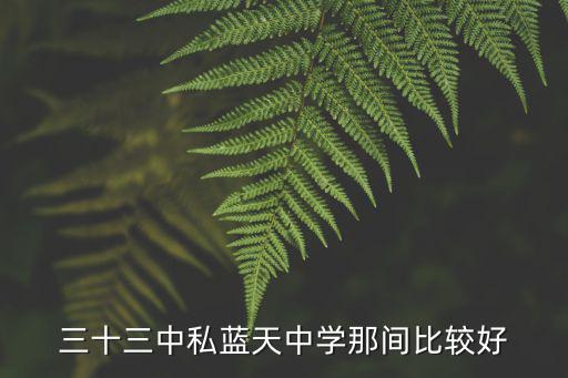 三十三中私藍天中學那間比較好