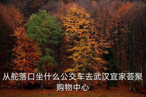 從舵落口坐什么公交車去武漢宜家薈聚購(gòu)物中心
