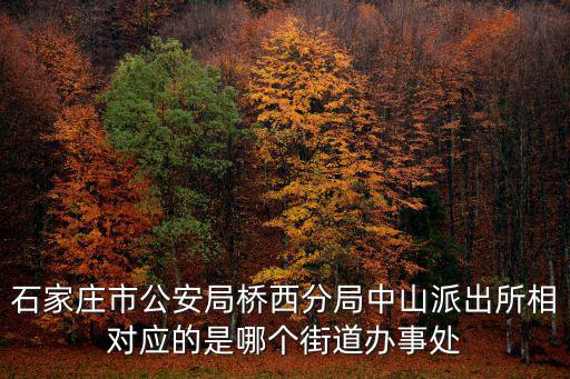 石家莊市公安局橋西分局中山派出所相對應的是哪個街道辦事處