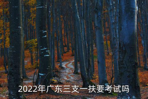 廣東三支一扶，廣東省三支一扶和事業編制哪個好