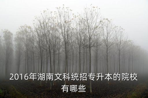 2016年湖南文科統(tǒng)招專升本的院校有哪些