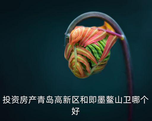 投資房產(chǎn)青島高新區(qū)和即墨鰲山衛(wèi)哪個好