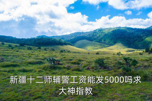 新疆十二師輔警工資能發5000嗎求大神指教