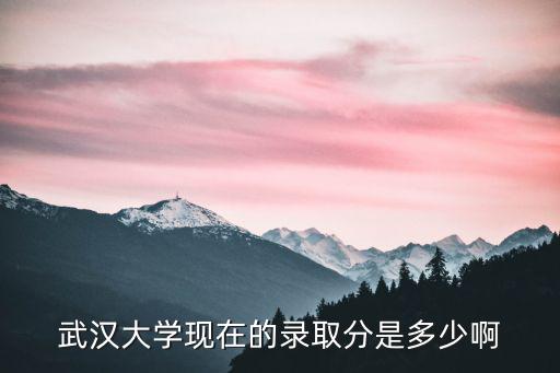 武漢大學現在的錄取分是多少啊