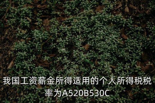 工資薪金個人所得稅稅率表，我國工資薪金所得適用的個人所得稅稅率為A520B530C