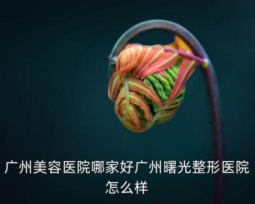 廣州美容醫(yī)院哪家好廣州曙光整形醫(yī)院怎么樣