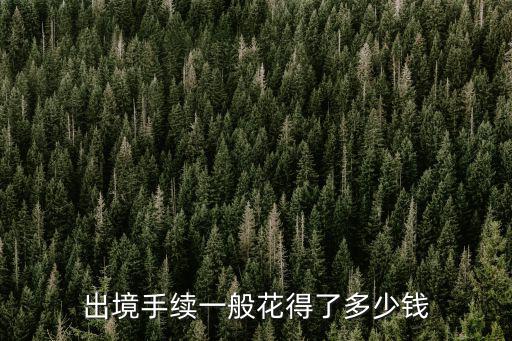 出境手續一般花得了多少錢