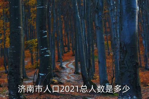 濟南人口數量，濟南人口大約多少