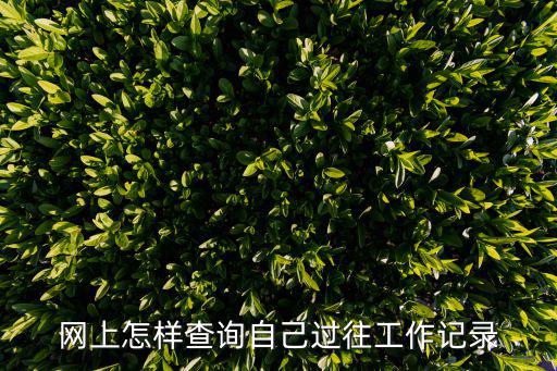 網上怎樣查詢自己過往工作記錄