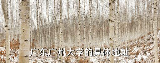 廣東廣州大學(xué)的具體地址