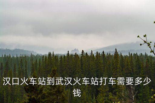 漢口站到武漢站多遠，從漢口站到武漢站坐出租車需要多少時間和錢