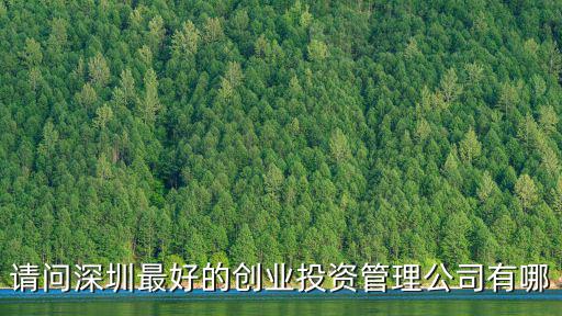 請問深圳最好的創(chuàng)業(yè)投資管理公司有哪