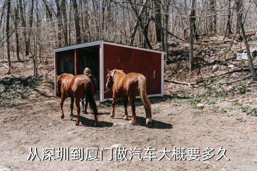 深圳到廈門汽車，從深圳到廈門做汽車大概要多久