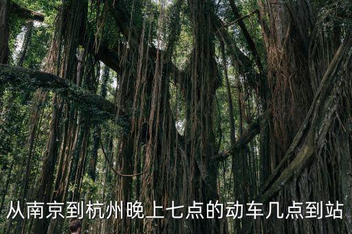 從南京到杭州晚上七點的動車幾點到站