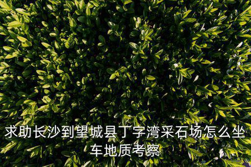 望城區(qū)天氣預報，求助長沙到望城縣丁字灣采石場怎么坐車地質考察