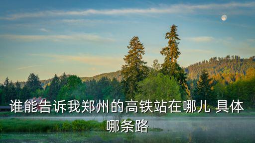 誰能告訴我鄭州的高鐵站在哪兒 具體哪條路