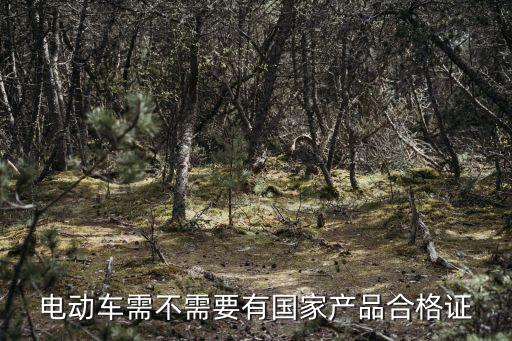 電動車需不需要有國家產品合格證