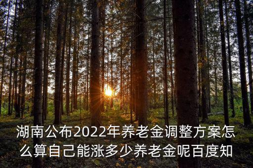 湖南公布2022年養老金調整方案怎么算自己能漲多少養老金呢百度知