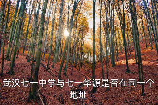 武漢七一中學與七一華源是否在同一個地址