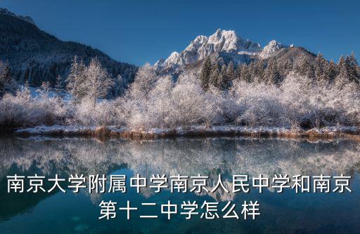 南京大學(xué)附屬中學(xué)南京人民中學(xué)和南京第十二中學(xué)怎么樣