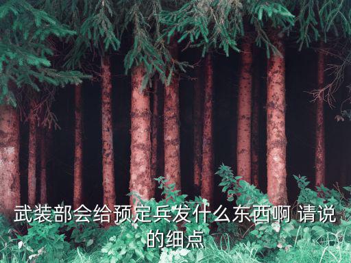 武裝部會給預定兵發什么東西啊 請說的細點