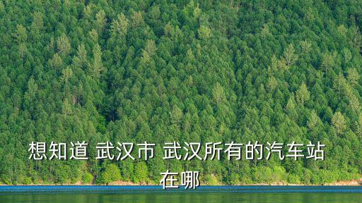 想知道 武漢市 武漢所有的汽車站 在哪
