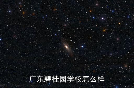 廣東碧桂園學校，廣東碧桂園學校師資怎樣