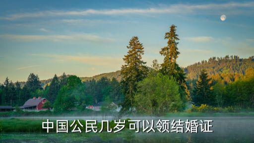 中國公民幾歲可以領結婚證